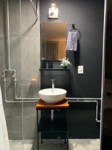 a bathroom with a sink and a shower at Villa San José in Arequipa