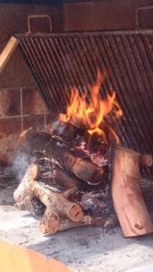 a grill with a bunch of logs and fire at Portal La Delfina in Ciudad Lujan de Cuyo