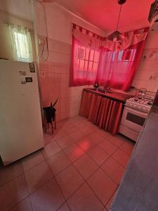 a dog standing in a kitchen with pink lights at Terraza Perito Moreno in Villa Carlos Paz +6 photos