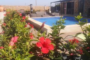 a bird sitting on a plant next to a swimming pool at La suite LOVE in Sidi Rahal