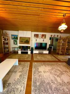 ein Wohnzimmer mit Teppichen auf dem Boden und einem TV in der Unterkunft Miramar Mariehamn Åland in Mariehamn