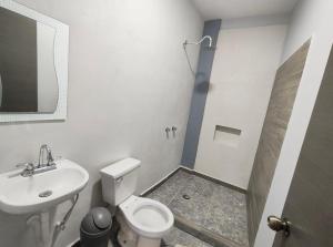 巴卡拉爾的住宿－Hotel Blue Turtle，浴室配有卫生间、盥洗盆和淋浴。