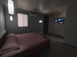 巴卡拉爾的住宿－Hotel Blue Turtle，卧室配有一张床,墙上配有电视。