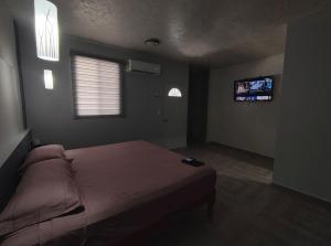 TV a/nebo společenská místnost v ubytování Hotel Blue Turtle