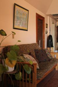 Posezení v ubytování Ashland Commons Hostel