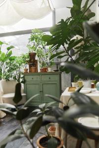 Imagine din galeria proprietății Xi'an Jasmine Boutique Inn în Xi'an