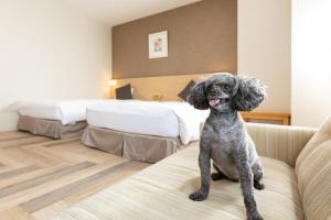 Postel nebo postele na pokoji v ubytování KAMENOI HOTEL Chitamihama