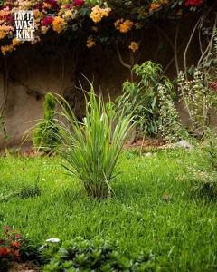 Afbeelding uit fotogalerij van Bella Casa de Campo in Chontay