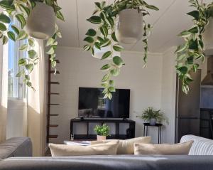 una sala de estar con plantas colgando del techo en Eckerö Camping & Stugor, en Eckerö