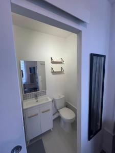 une salle de bain avec toilettes, lavabo et miroir dans l'établissement Appartement de charme dans le residence historique du Grand hotel, à Aix-les-Bains
