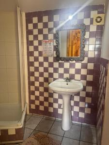 a bathroom with a sink and a mirror at Pokój Paw-puszcza kampinowska in Nowy Secymin +20 photos