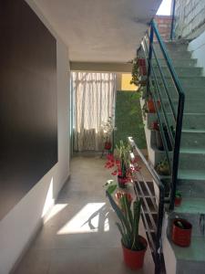 Afbeelding uit fotogalerij van Samay in Abancay