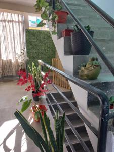 Afbeelding uit fotogalerij van Samay in Abancay +18 foto's