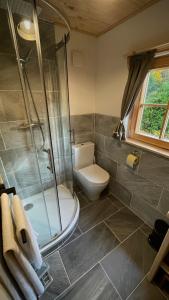a bathroom with a toilet and a glass shower at Rodlhaus GruBÄR - Rodltal-Huetten in Maierleiten +25 photos