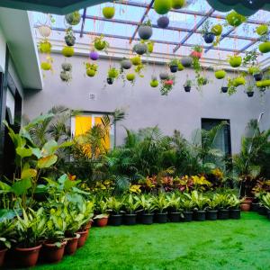 ein mit Pflanzen und Pflanzen gefülltes Gewächshaus in der Unterkunft Mayfair Palm Beach Resort in Gopalpur