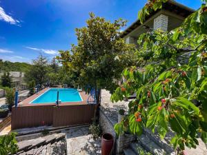 a swimming pool in front of a house at Archontiko Zarkada in Monodendri