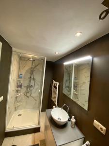 a bathroom with a sink and a shower at Vakantiehuis midden in het bos vlakbij de Efteling Natuurhuisje Loonse en Drunense duinen in Helvoirt