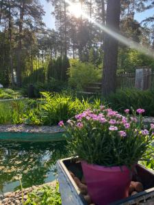 Zahrada ubytování Guest house ''Stropiki'' with Sauna and hot Tub