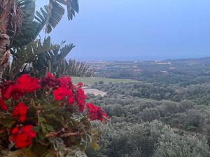 Φωτογραφία από το άλμπουμ του Agriturismo Catena σε Cirò +18 φωτογραφίες