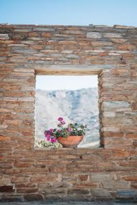 Fotografie z fotogalerie ubytování Villa Il Paradiso Andros v destinaci Gavrion