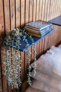 een blauwe tafel met boeken en planten erop bij Guboja in Nida