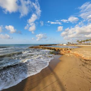 Phong cảnh thiên nhiên gần căn hộ