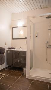 a bathroom with a sink and a shower at Logis Hotels - Au Colombier du Touron in Brax