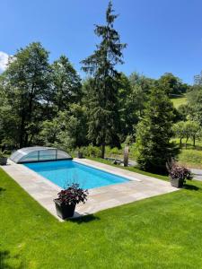 a swimming pool in a yard with two potted plants at Penzion U Klujů in Věstín