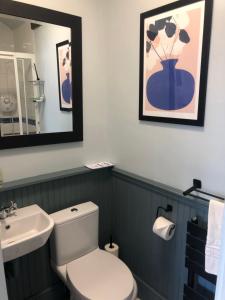 a bathroom with a toilet and a sink and a mirror at Twin Oaks Guest House in Cadnam