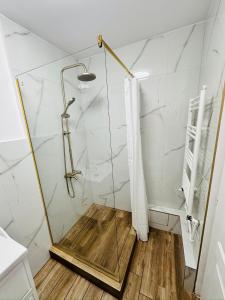 una ducha con puerta de cristal en un baño en Dream Rooms, en Hunedoara