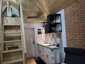 a kitchen with a ladder and a sink in a room at Refugiul din Vama in Vama Buzăului