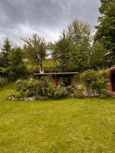 a backyard with a picnic table in the grass at Casuta Azughia in Azuga