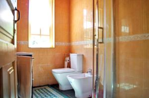 uma casa de banho com um WC, um lavatório e um chuveiro em 3 bedrooms villa with private pool enclosed garden and wifi at Lamego em Lamego