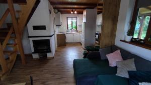 a living room with a couch and a fireplace at Domek w Sadzie in Marcinowa Wola