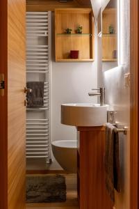 a bathroom with a sink and a toilet at Villa Speronella in San Martino di Castrozza