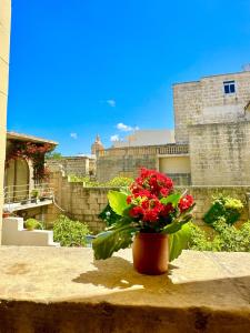 Fotografie z fotogalerie ubytování St Anglu Xaghra Family Stay - Lift and AC included v destinaci Xagħra