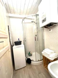 a bathroom with a shower and a sink at Due cuori e... un Loft nel cuore antico di Aosta in Aosta