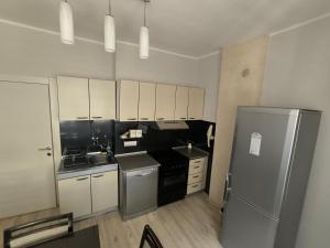 Kuchyň nebo kuchyňský kout v ubytování Apartman Braun Čačak