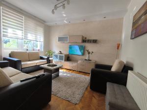 Posezení v ubytování Apartman Braun Čačak