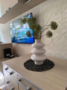 TV a/nebo společenská místnost v ubytování Apartman Braun Čačak