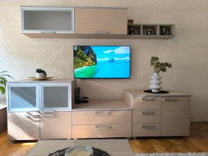 TV a/nebo společenská místnost v ubytování Apartman Braun Čačak