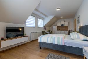 a bedroom with a large bed and a television at Studios Aurelia in Smoljanac