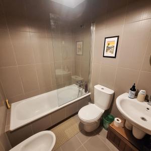 a bathroom with a toilet and a tub and a sink at Aliving Colo in Raxo