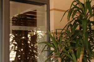 Zahrada ubytování Hotel Petrovac