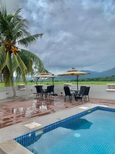 un complejo con piscina, sillas y sombrillas en Jasmine Villa, en Pantai Cenang