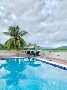 a swimming pool with chairs and a palm tree at Jasmine Villa in Pantai Cenang