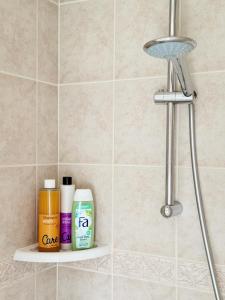 a shelf in a bathroom with bottles of soap and a shower at Beach House Sea-Esta in Egmond aan Zee