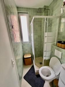 a green tiled bathroom with a toilet and a shower at Votre cocon parisien in Bagnolet