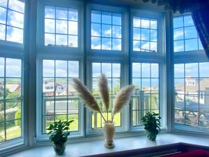 a window with three plants and a vase with feathers in it at Charming Sea view home in Swanage in Swanage