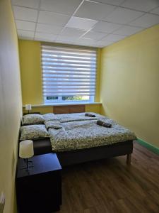 Billede fra billedgalleriet på Rojas kuģu piestātne i Roja